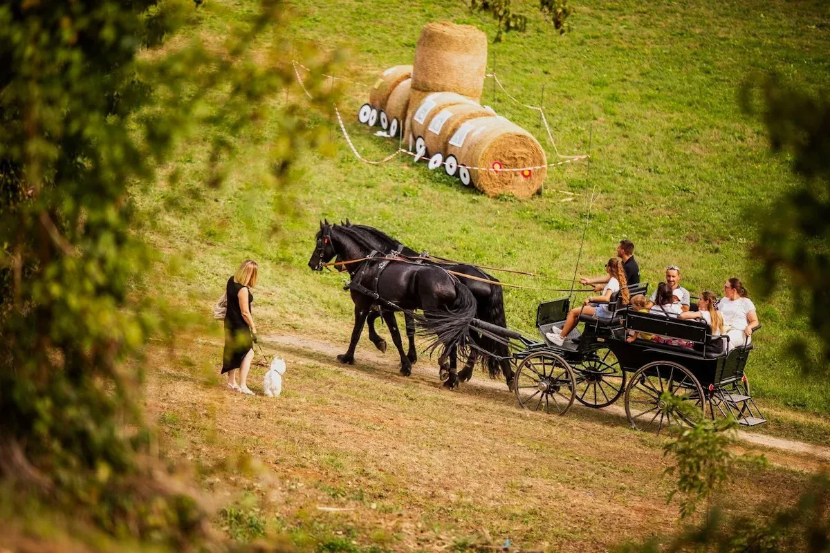 Počinje najbogatiji Štrudlafest ikada